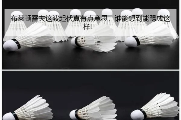 布莱顿霍夫这波起伏真有点意思，谁能想到能踢成这样！